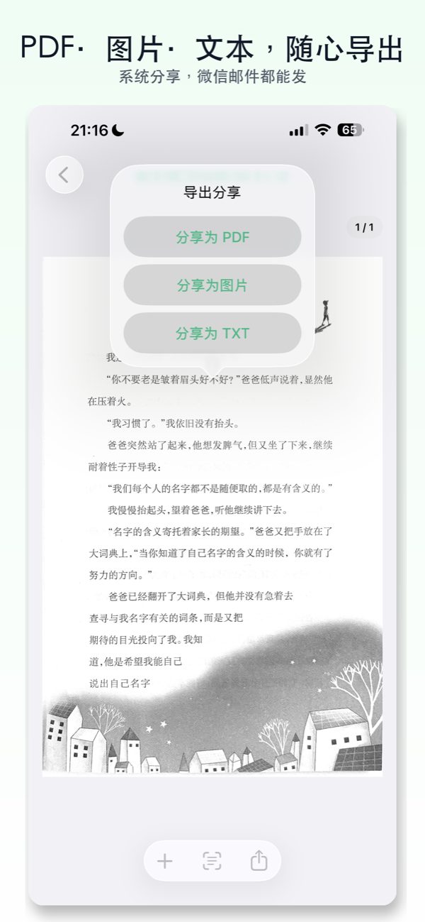 纯净扫描 iPhone 截图 5